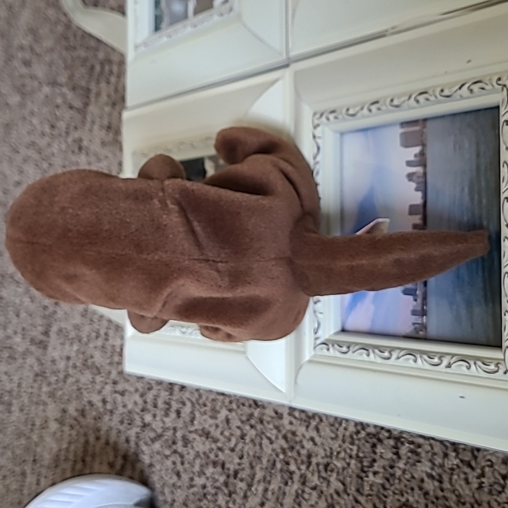 TY Beanie Baby Seaweed - Picture 2 of 5